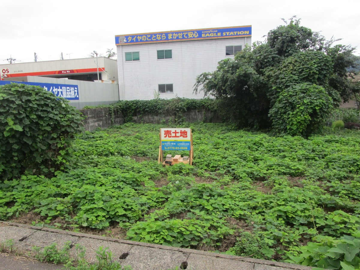 勝山市郡町3丁目 売土地